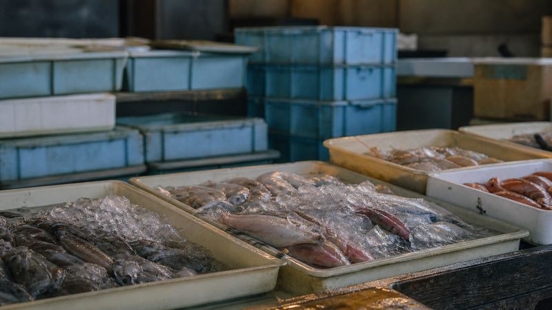 朝の市場。砕いた氷の上に魚が並んでいる（イメージ）